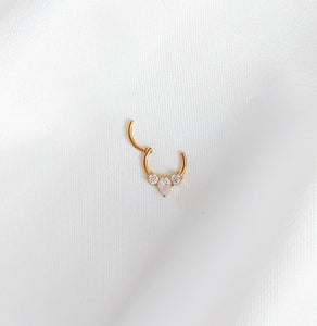 Special septum