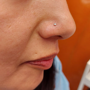 Nostril piercing brillo