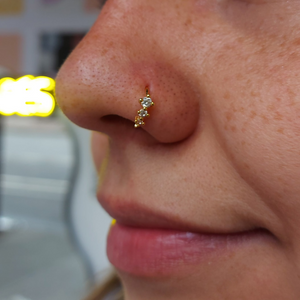 Argolla Nostril