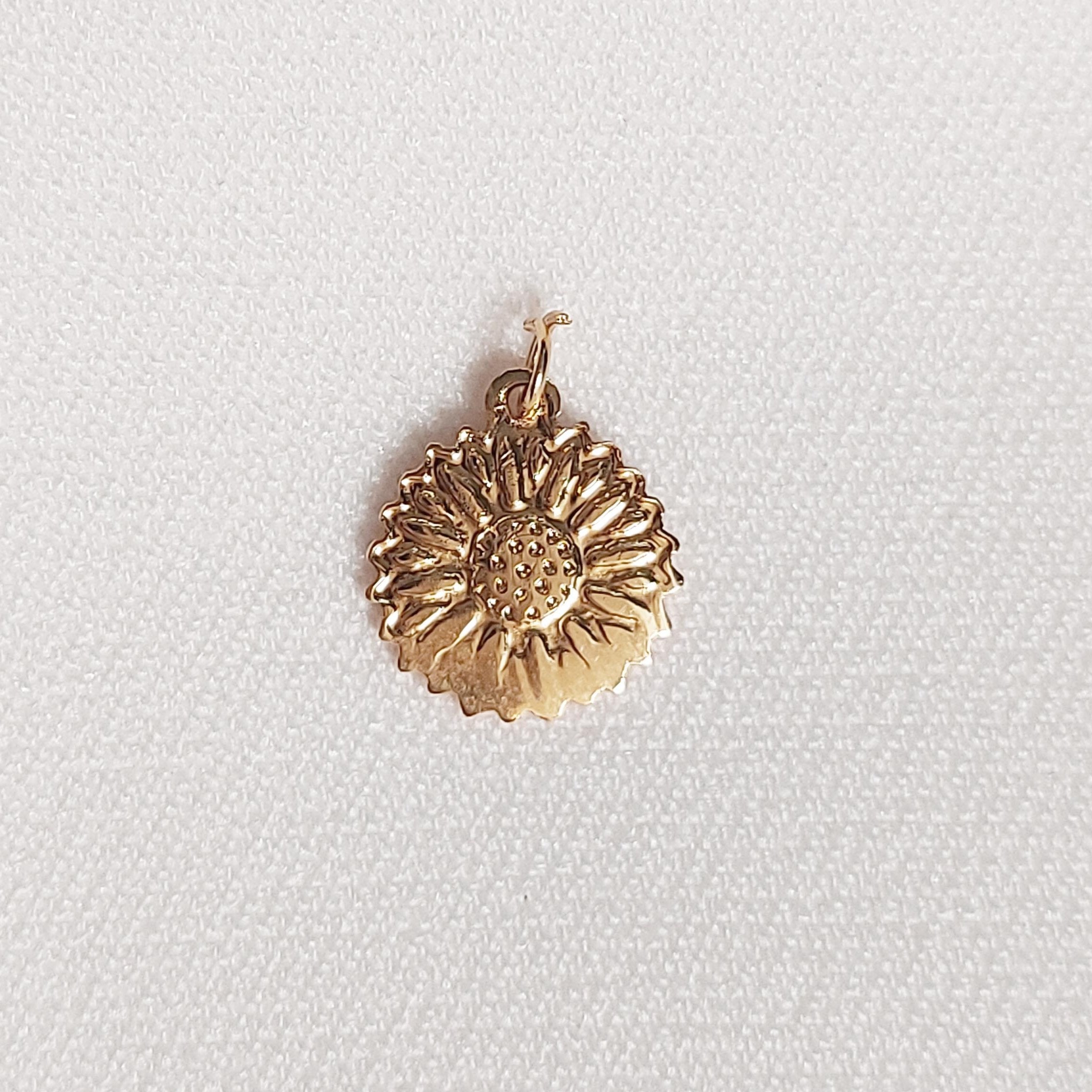 Charm (individuales)