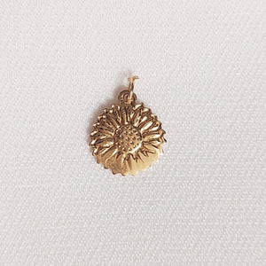 Charm (individuales)