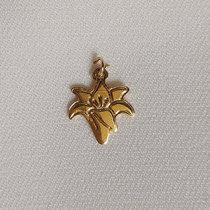 Charm (individuales)