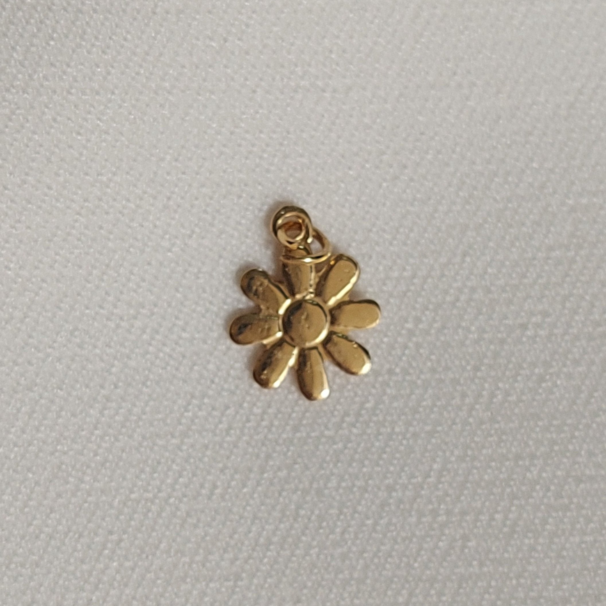 Charm (individuales)