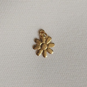Charm (individuales)