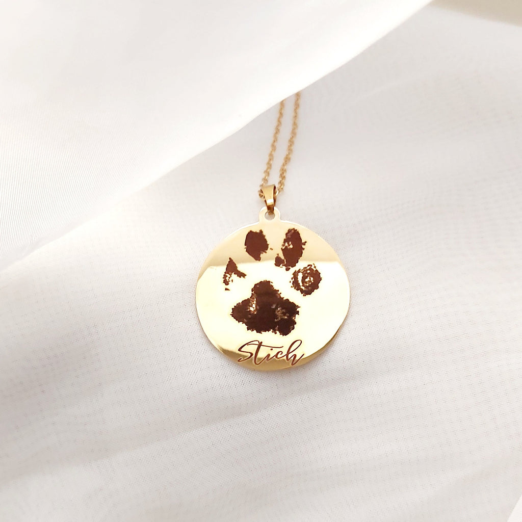 Cat Dog Paw