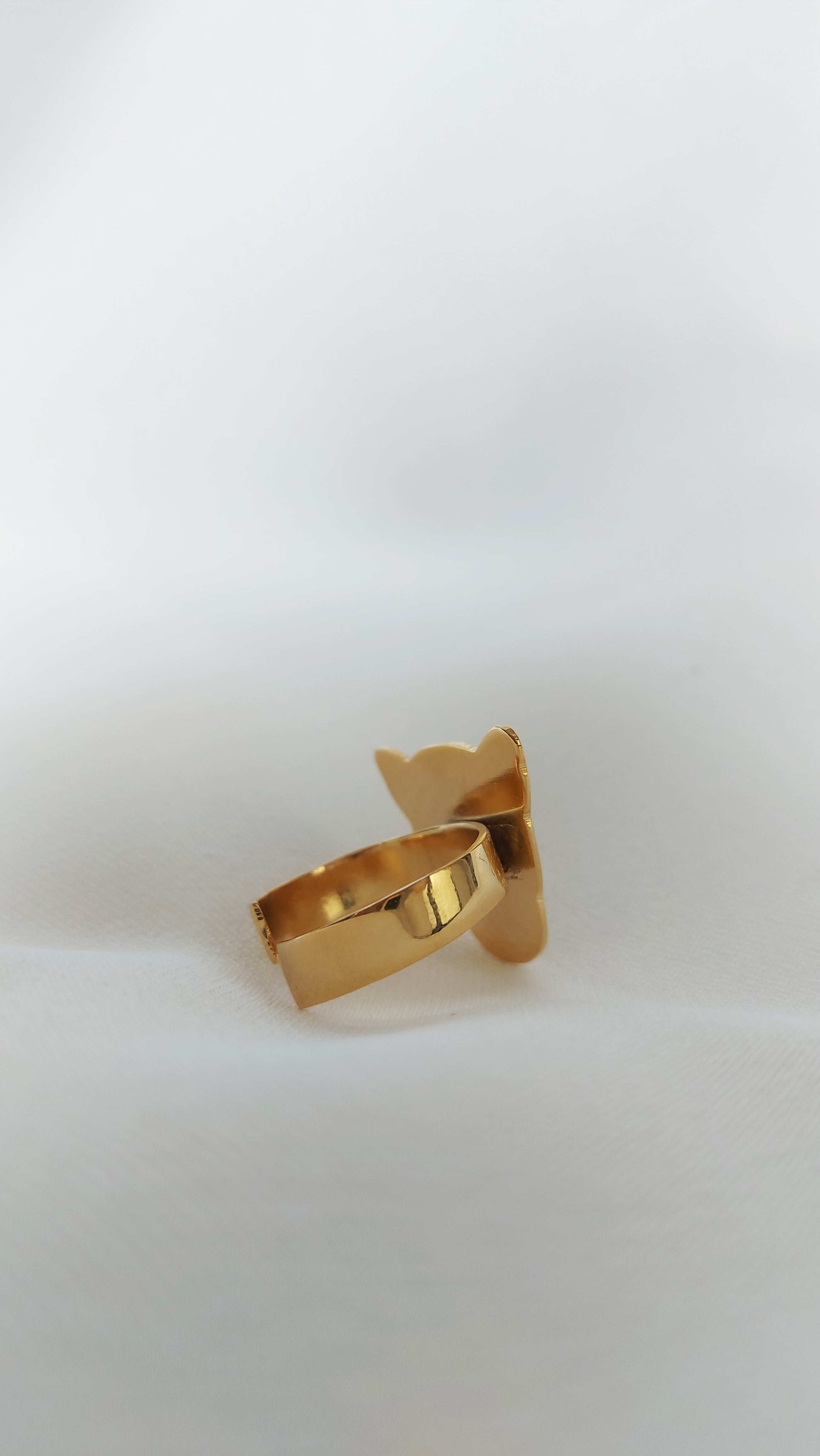 Alma Brava Anillo