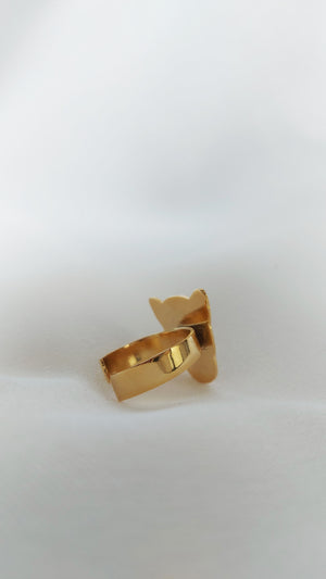 Alma Brava Anillo